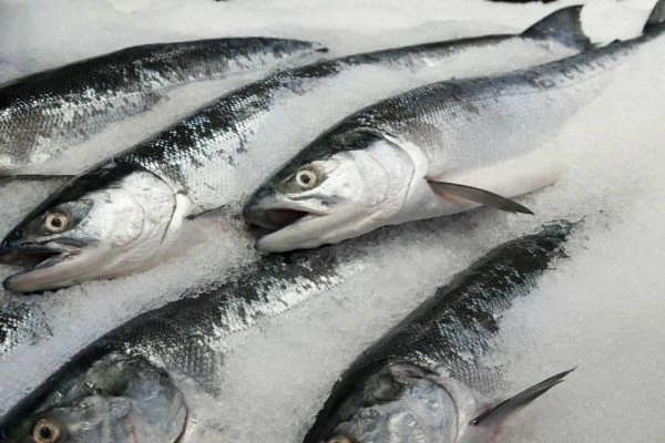 Africa's Frozen Whole Fish Market - Nigeria Emerges As the Largest Market, with $488M of Imports in 2018